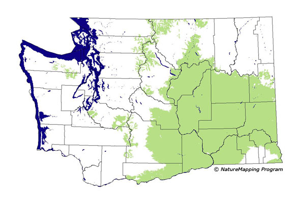 Click to enlarge Range map