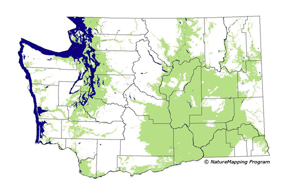 distribution map