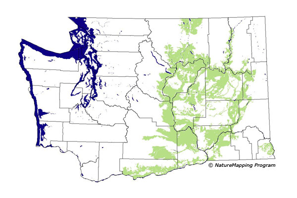 Click to enlarge Range map