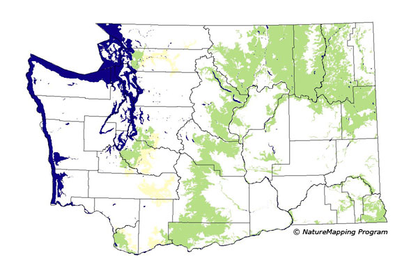 Click to enlarge Range map