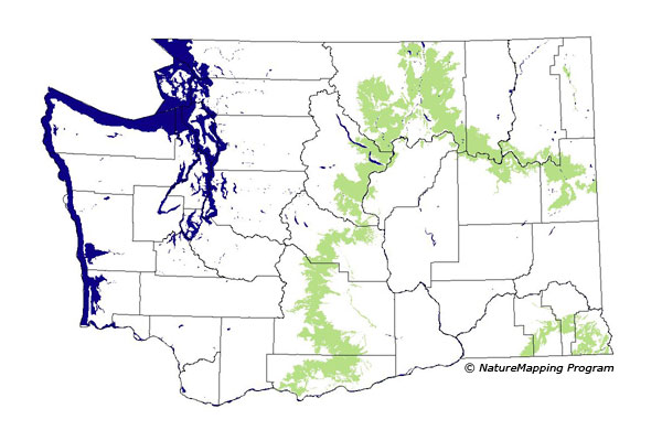 distribution map