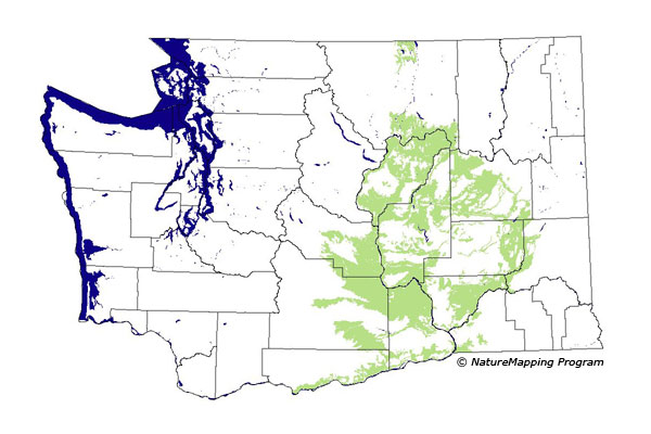 Click to enlarge Range map