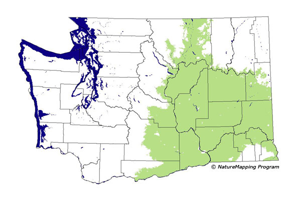 distribution map