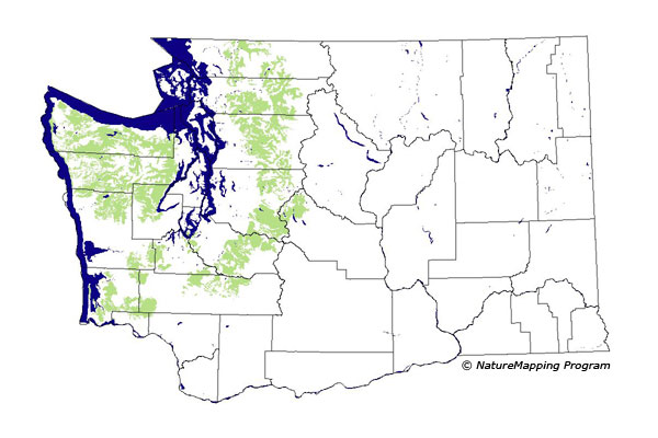 Click to enlarge Range map