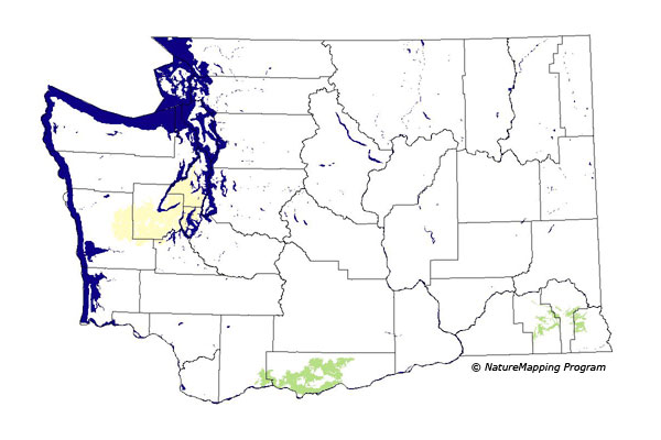 Click to enlarge Range map