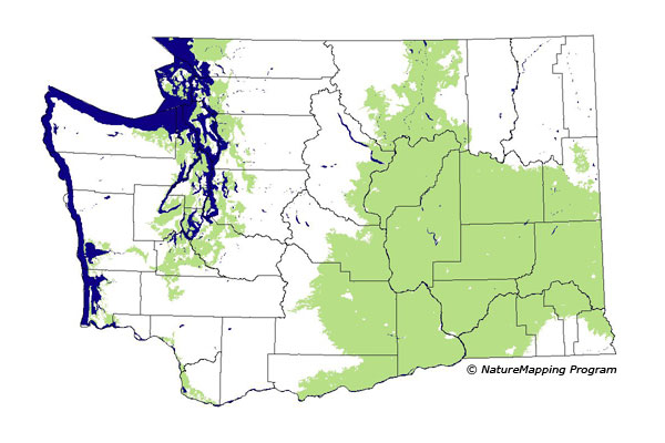 Click to enlarge Range map