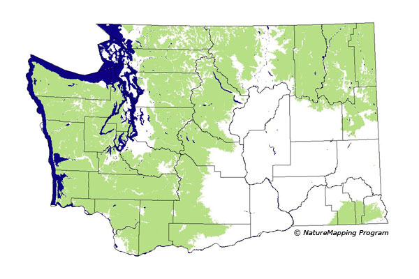 Click to enlarge Range map