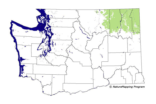 Click to enlarge Range map