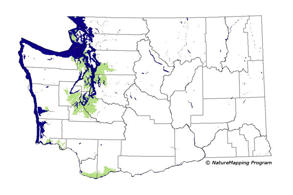 Click to enlarge Range map