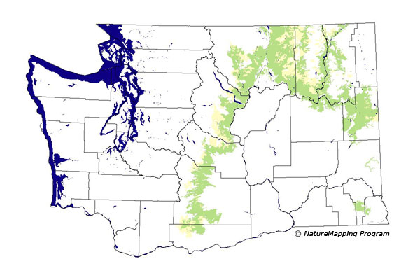 Click to enlarge Range map