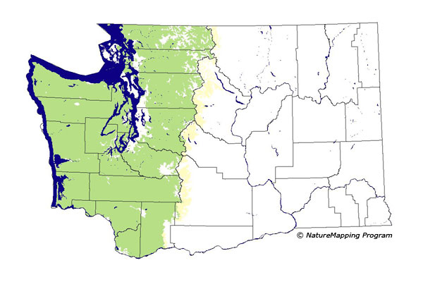 Click to enlarge Range map