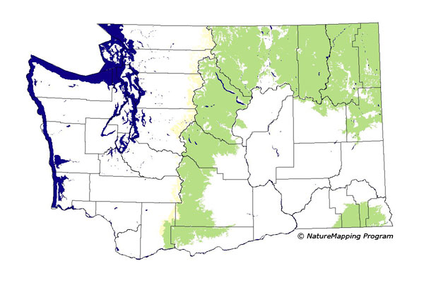 Click to enlarge Range map