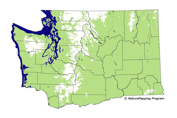 distribution map