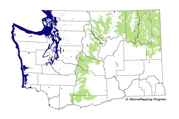Click to enlarge Range map