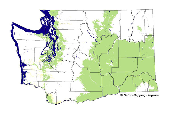 Click to enlarge Range map