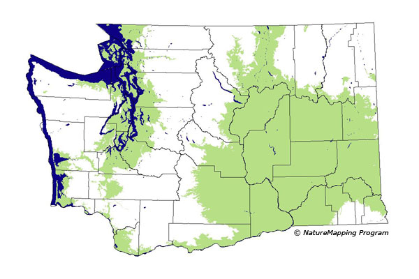 distribution map