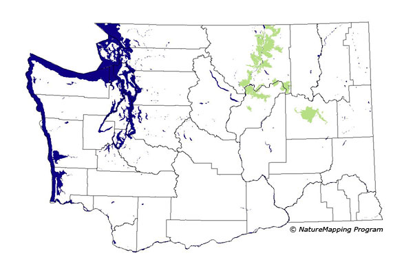 Click to enlarge Range map