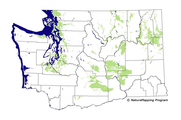 Click to enlarge Range map