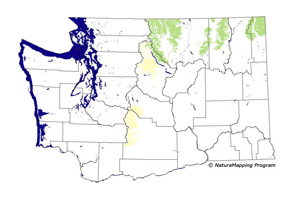 Click to enlarge Range map