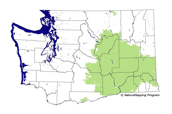 Click to enlarge Range map