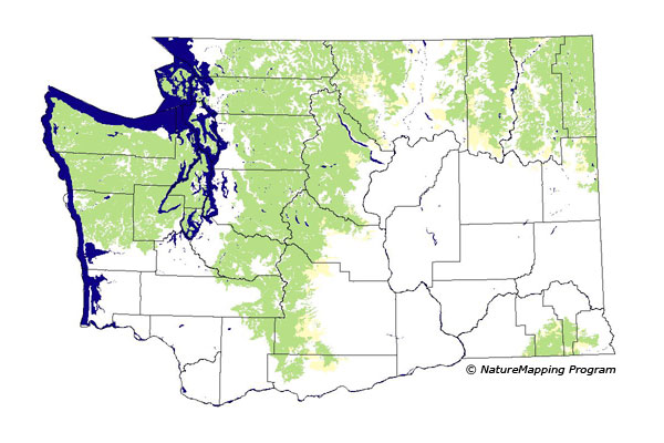 Click to enlarge Range map