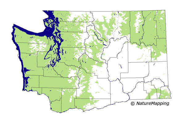 distribution map