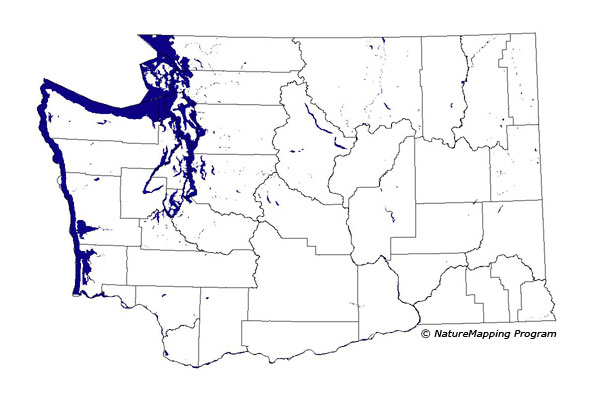 distribution map