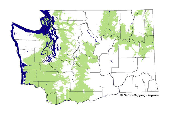 distribution map