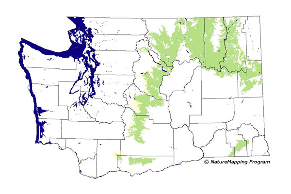 Click to enlarge Range map