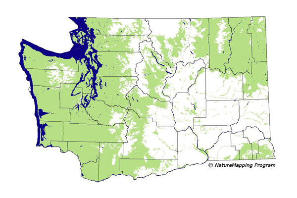 Click to enlarge Range map