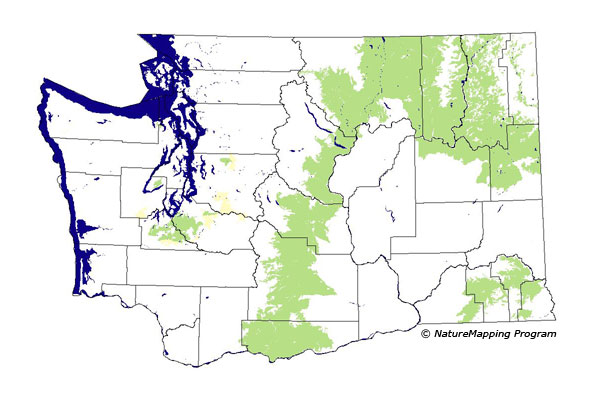 Click to enlarge Range map
