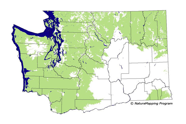 Click to enlarge Range map