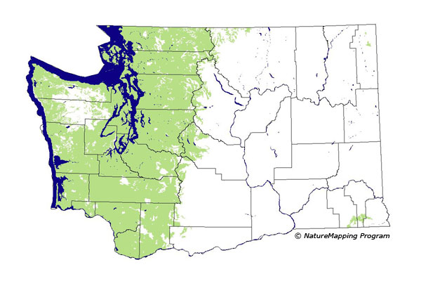 Click to enlarge Range map