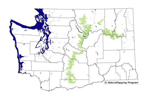 Click to enlarge Range map