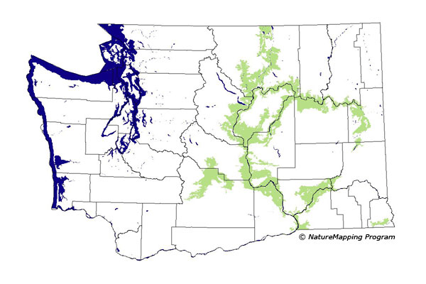 Click to enlarge Range map