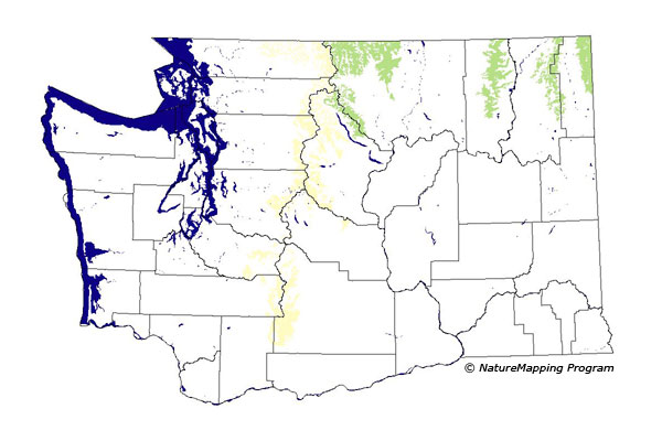 Click to enlarge Range map