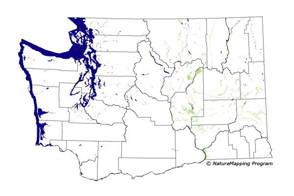 Click to enlarge Range map