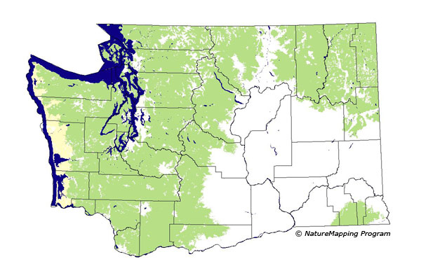 Click to enlarge Range map