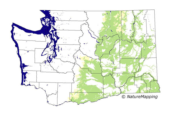 distribution map