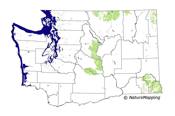 distribution map
