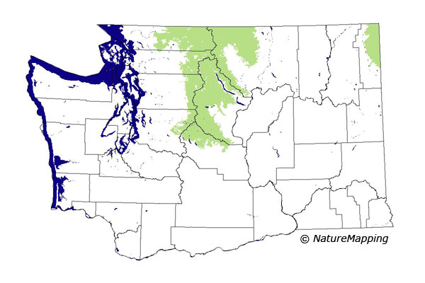 Click to enlarge Range map