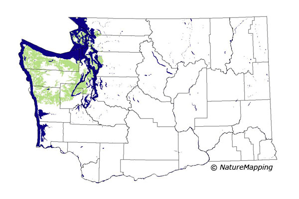 Click to enlarge Range map