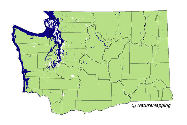 distribution map