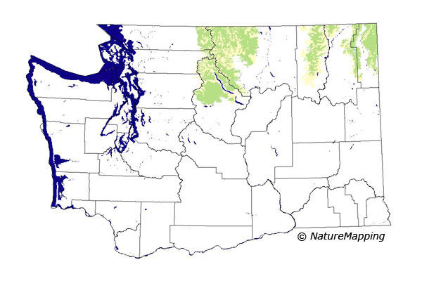 Click to enlarge Range map