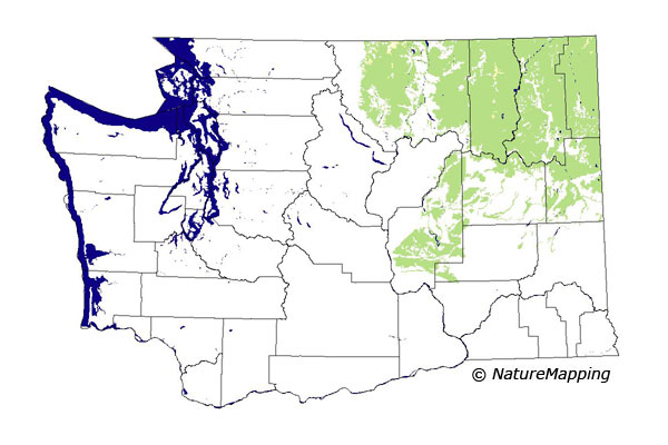 Click to enlarge Range map