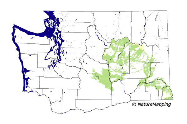 Click to enlarge Range map