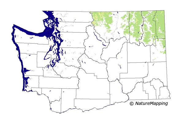 distribution map