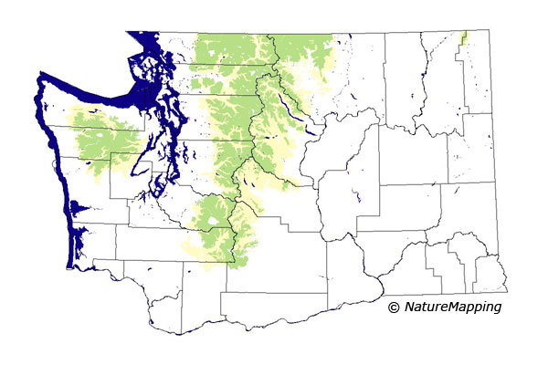 distribution map