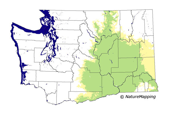Click to enlarge Range map