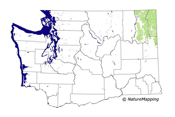 Click to enlarge Range map